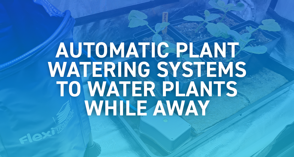 Automatic Plant Watering Systems to Water Plants While Away