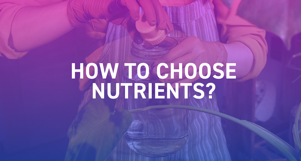 How to choose the right nutrients for your growing plants