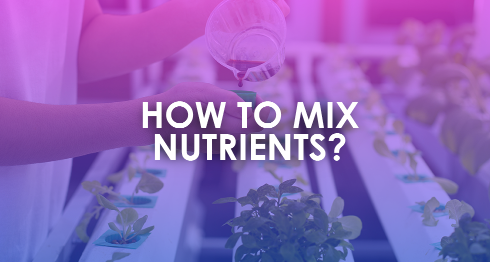 How to Mix Your Nutrients Correctly