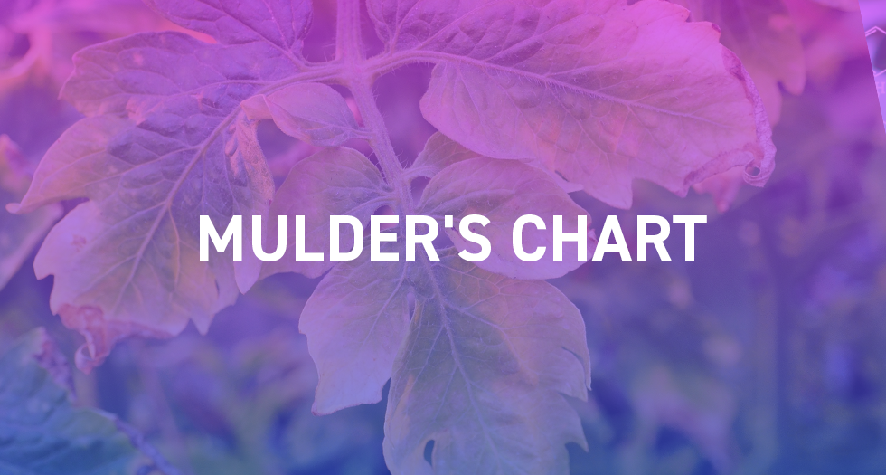 Mulder's Chart - Plant Nutrition and Interactions