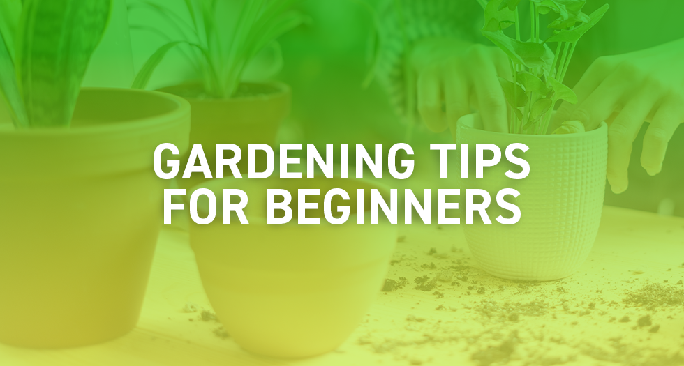 Gardening Tips for Beginners