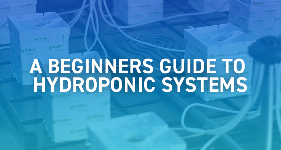 A Beginners Guide to Hydroponic Systems