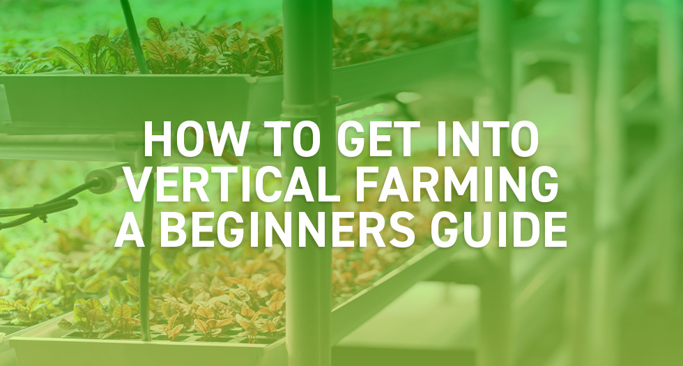 How to get into Vertical Farming – A Beginners Guide