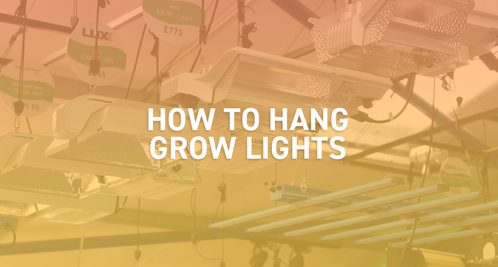 How to Hang Grow Lights