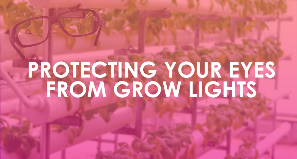 Protecting Your Eyes from Lighting in Your Grow Room