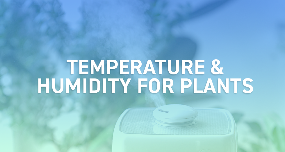 Understanding optimum Temperature and Humidity for Plants