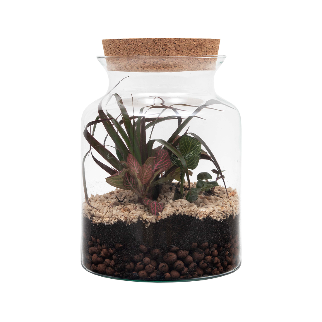 Terrariums