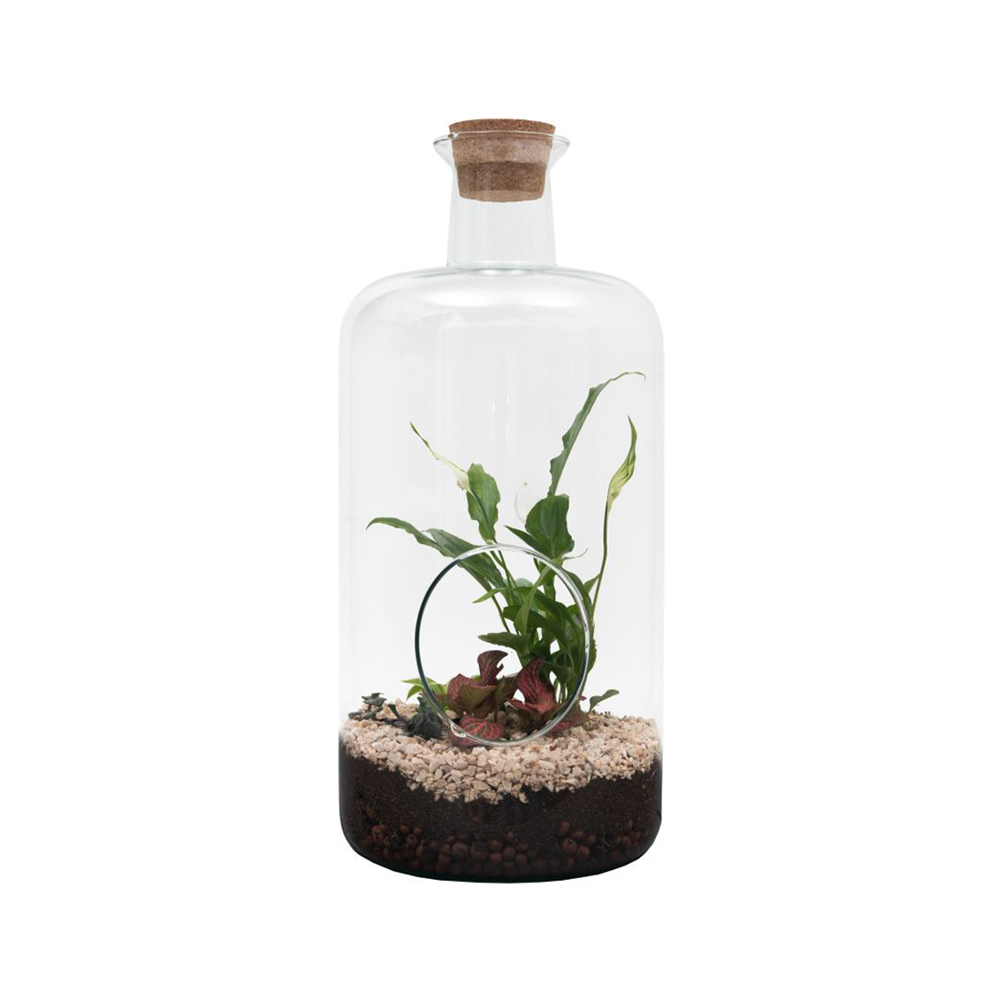 Terrariums