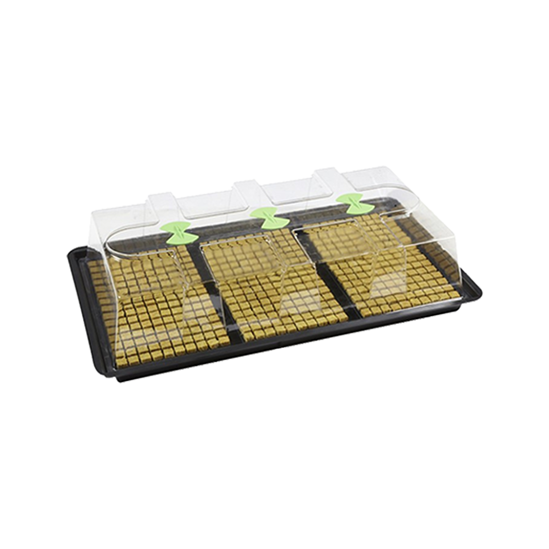 X-Stream Heat Propagator