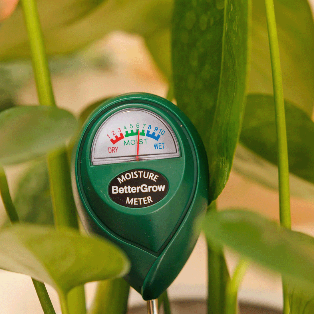 BetterGrow Moisture Meter